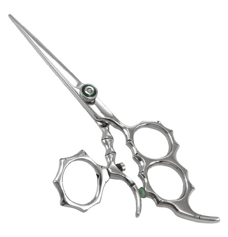 Professional Razor Eadge Shears