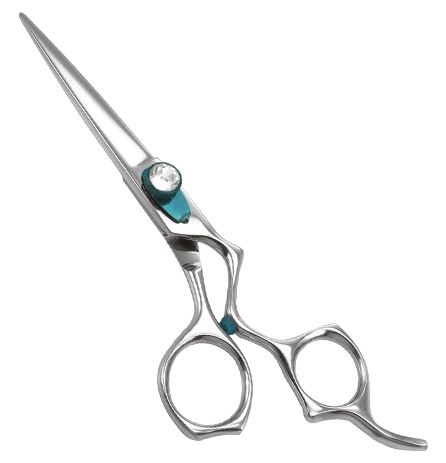 Professional Razor Eadge Shears