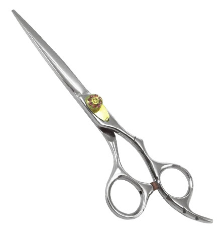 Professional Razor Eadge Shears