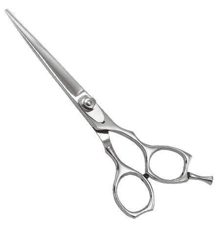 Professional Razor Eadge Shears