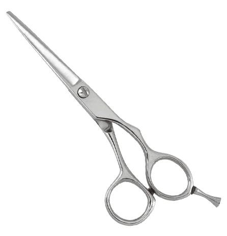 Professional Razor Eadge Shears