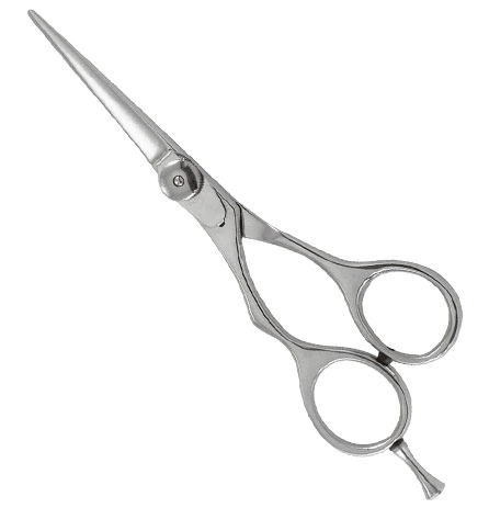 Professional Razor Eadge Shears