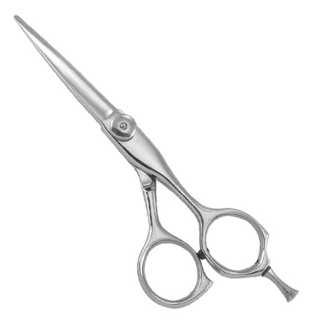 Professional Razor Eadge Shears