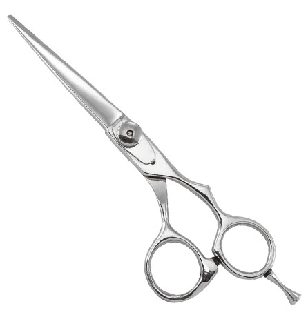 Professional Razor Eadge Shears