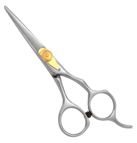 Professional Razor Eadge Shears