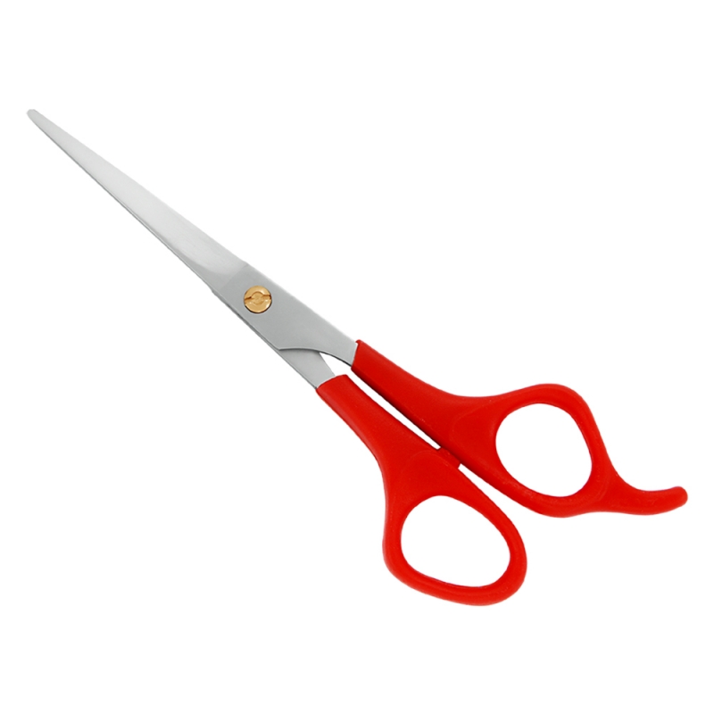 PLASTIC HANDLE SCISSORS