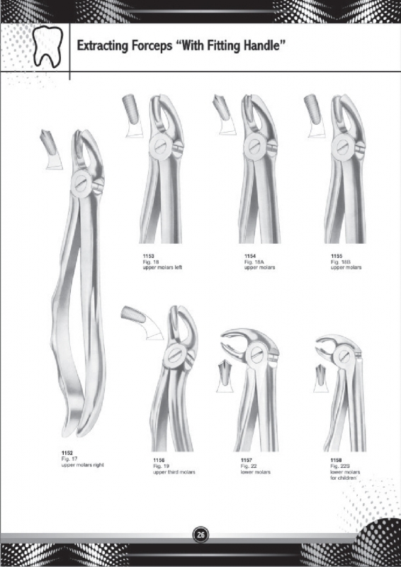 Extracting Forceps With Fitting Handle