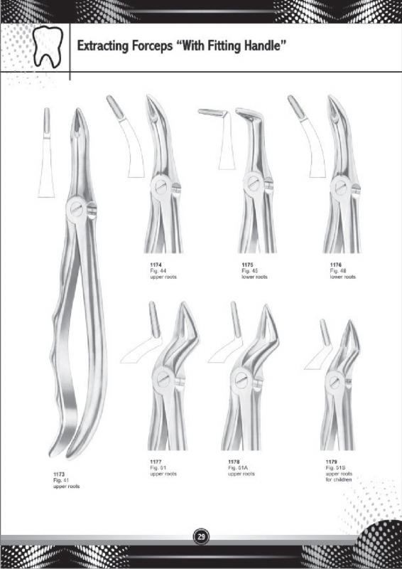 Extracting Forceps With Fitting Handle