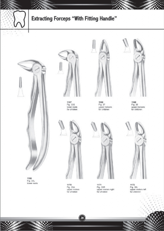 Extracting Forceps With Fitting Handle