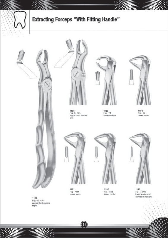 Extracting Forceps With Fitting Handle