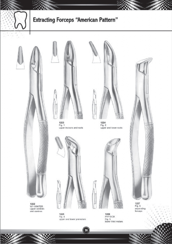 Extracting Forceps American Pattern