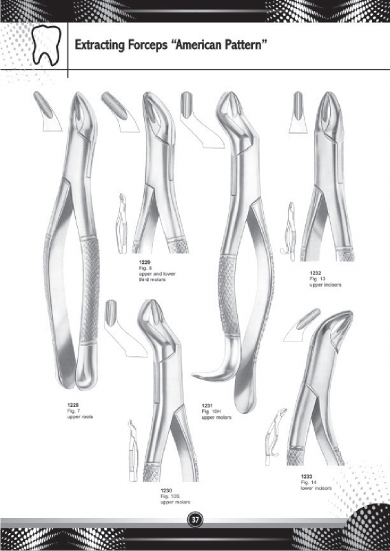 Extracting Forceps American Pattern