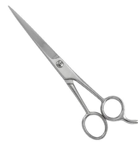 PROFESSIONAL HAIR CUTTING SHEARS