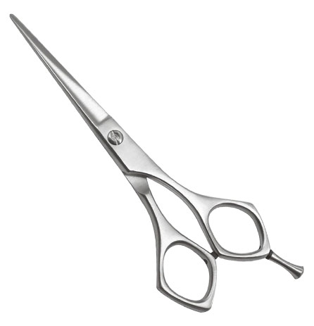 Professional Hair Cutting Shears